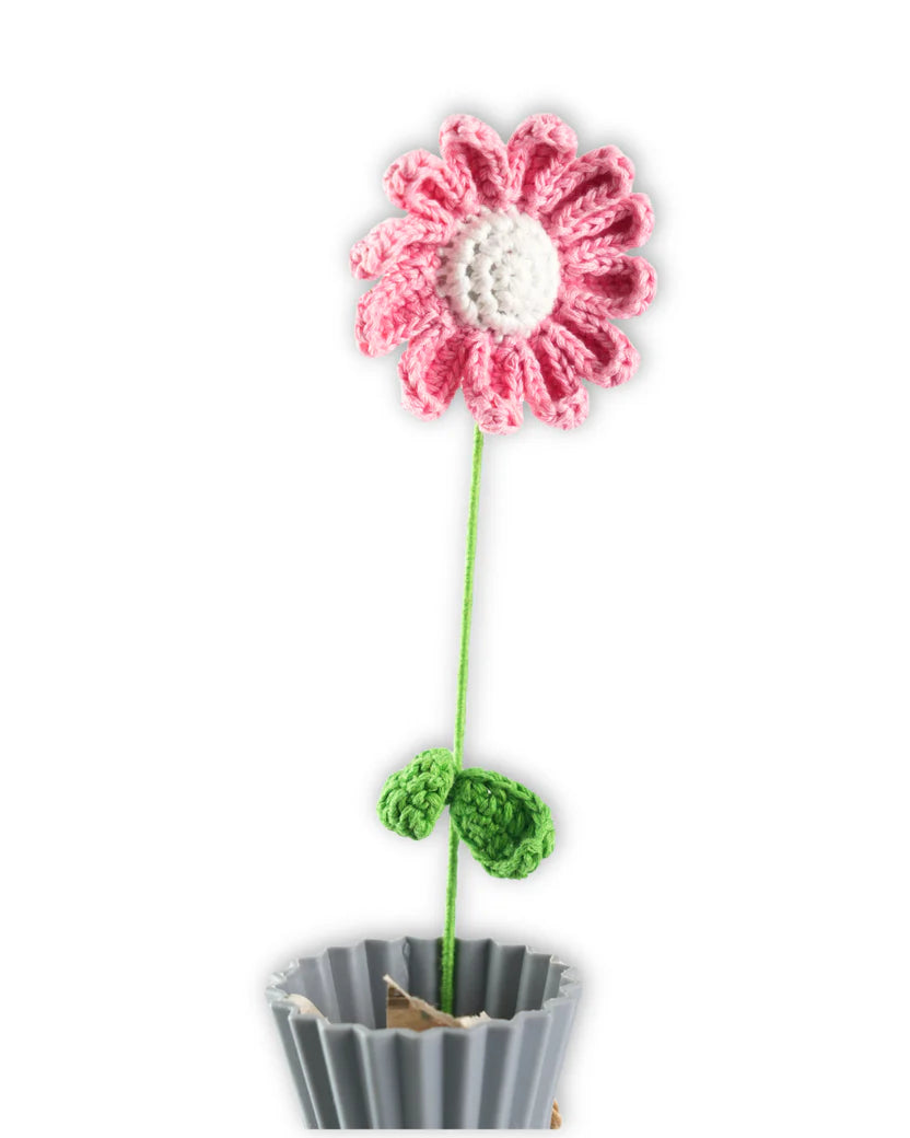 Daisy large