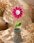 Daisy large Dark Pink