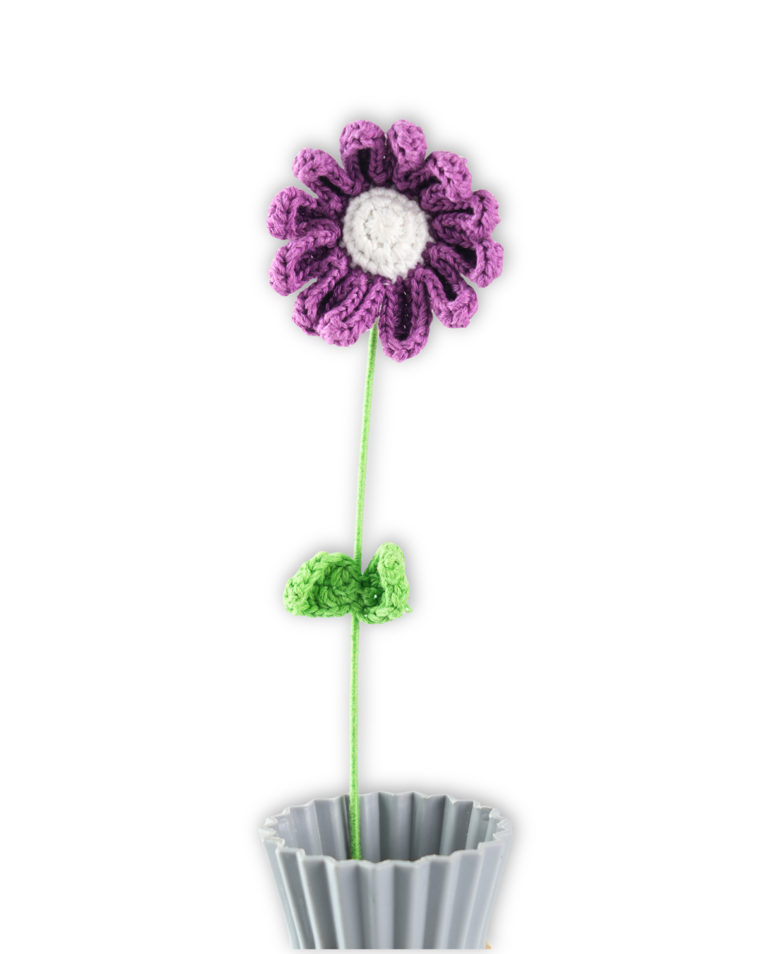 Daisy large Purple