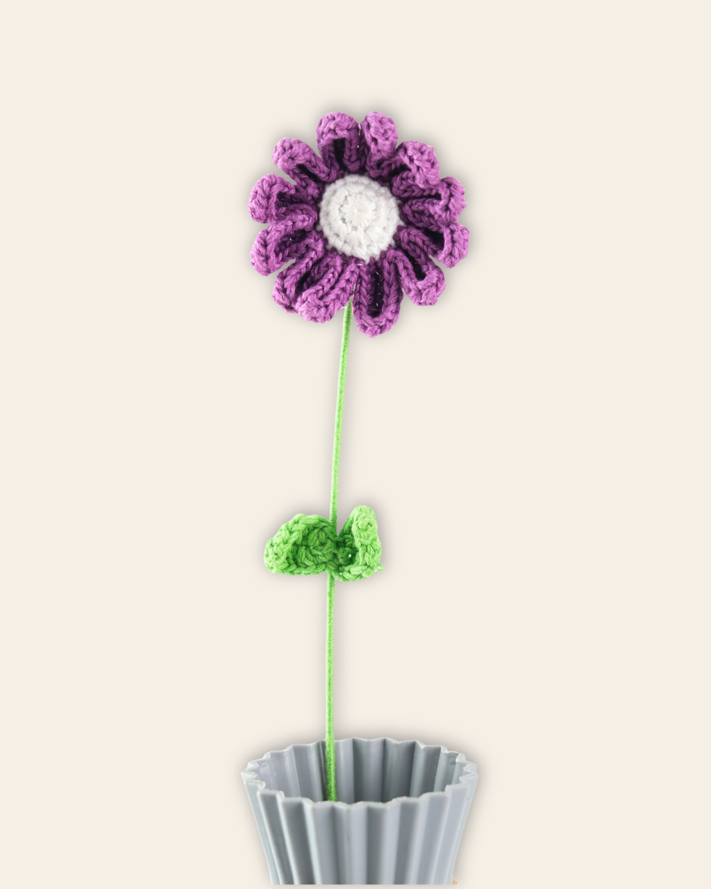 Daisy large Purple