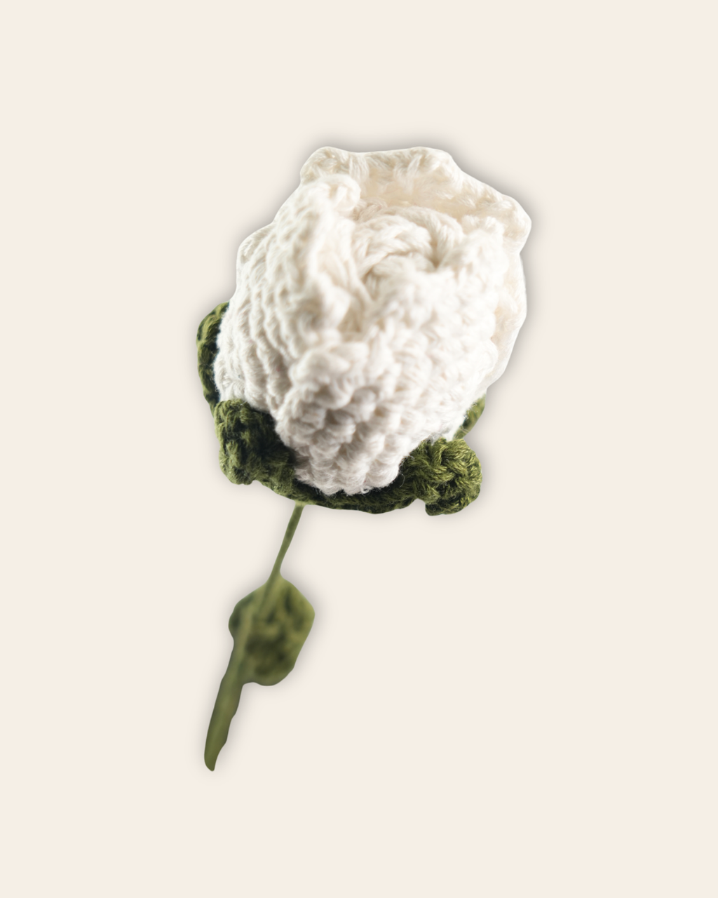 Roses Large White