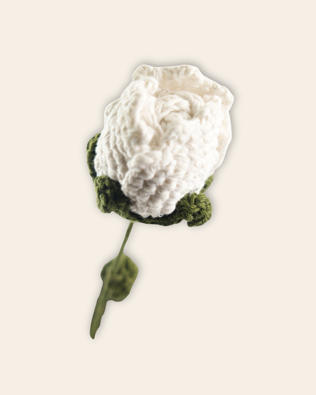 Roses large White