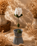 Roses Large White