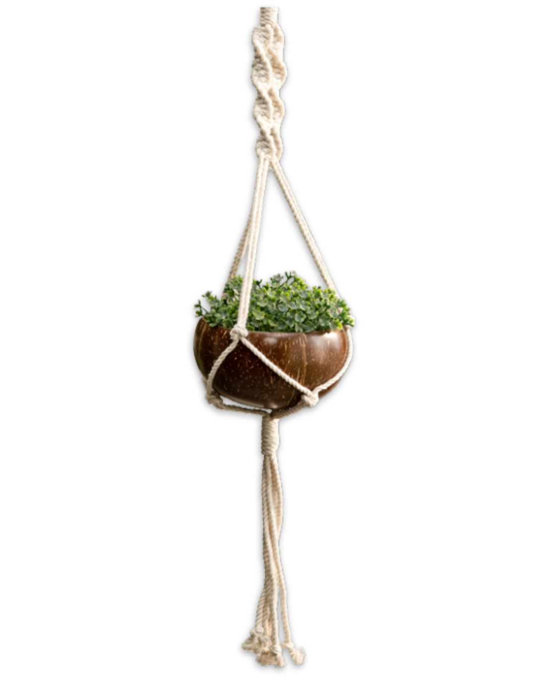 Hanging Planter