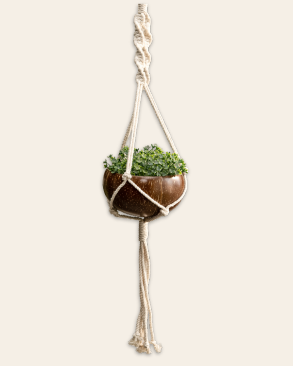 Hanging Planter