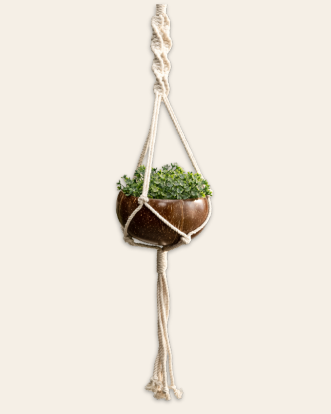 Hanging Planter