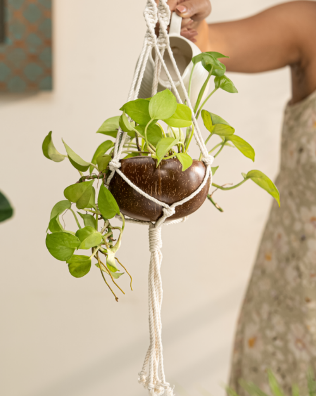 Hanging Planter